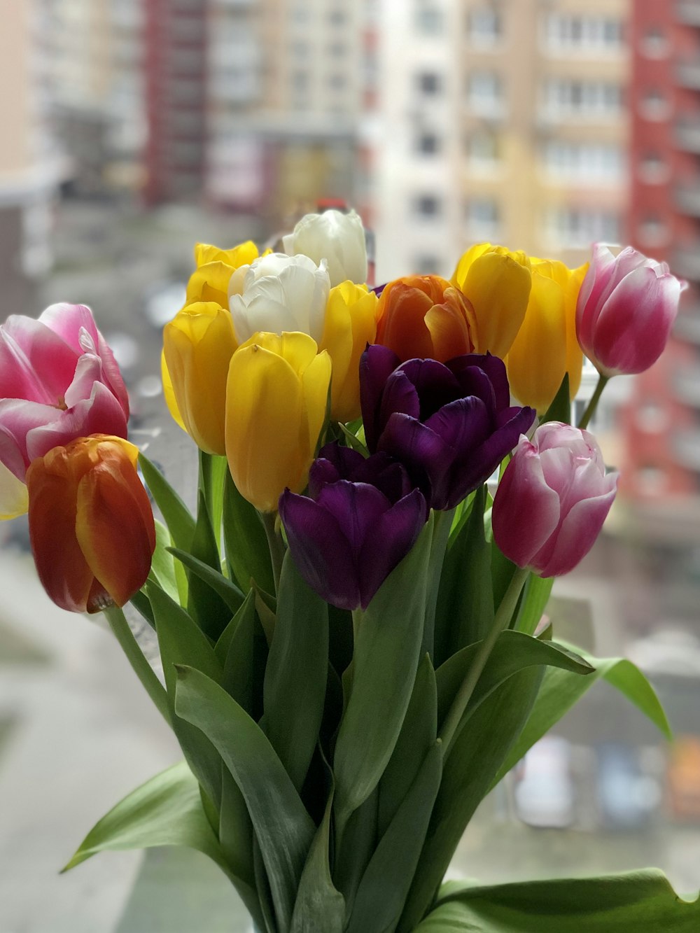 pink yellow and purple tulips in bloom during daytime