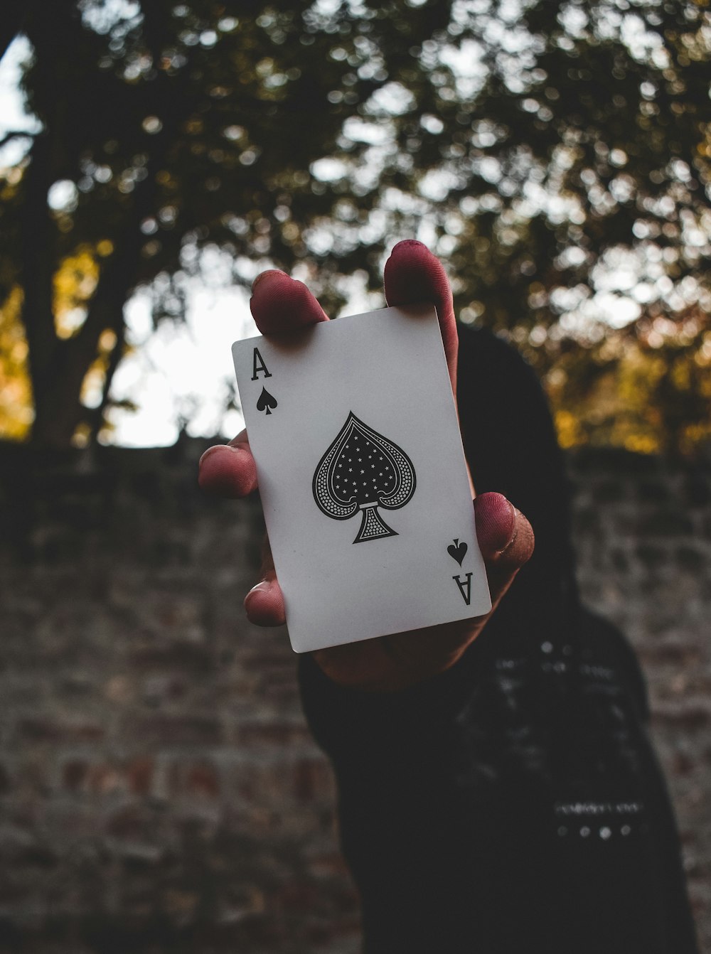 person holding ace of spade playing card