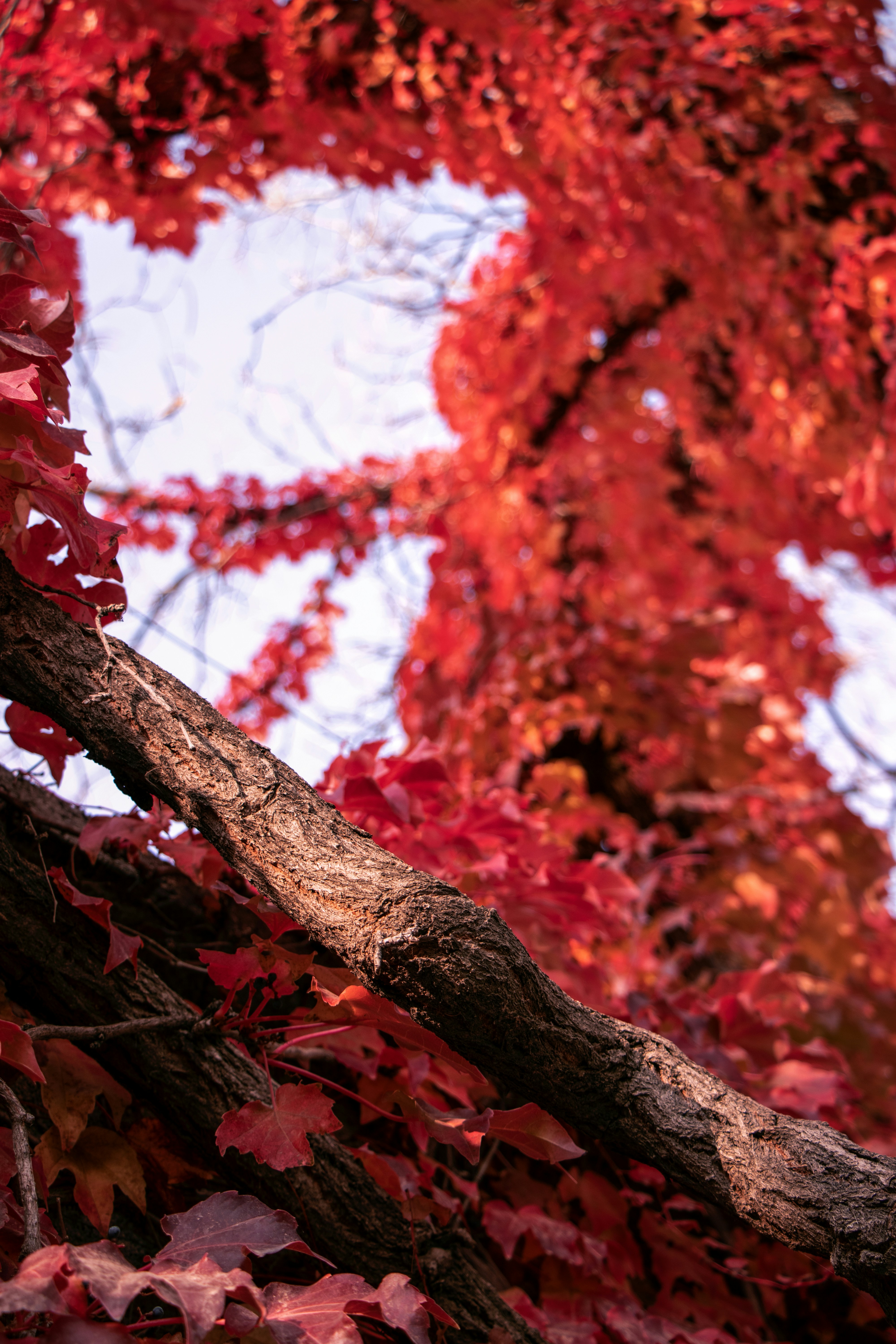 Photo by mobinalizadehph