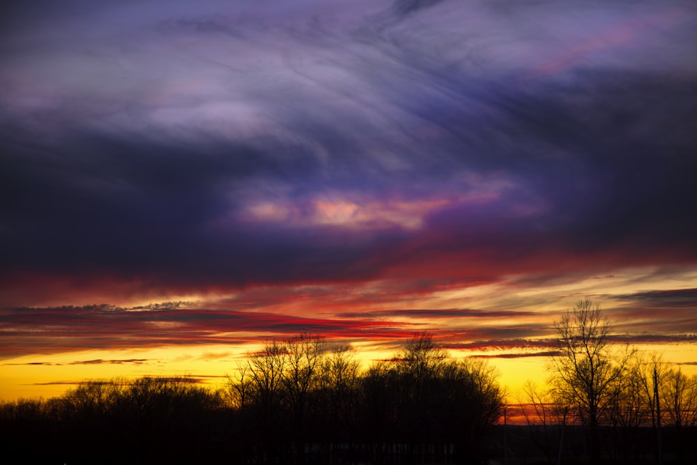 silhouette of trees under cloudy sky during sunset