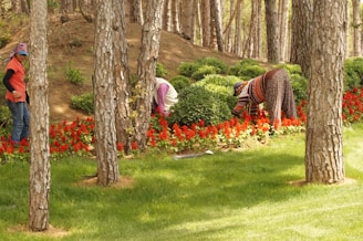 A team of workers tending to a vibrant garden.