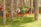 Three individuals are tending to a vibrant garden filled with red flowers and lush green bushes, located in a forested area with tall trees. The scene suggests a quiet and peaceful outdoor setting, focused on gardening activities.