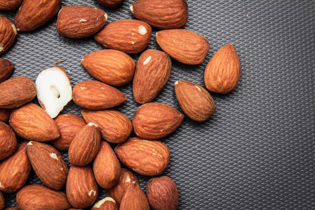 brown almond nut on gray textile