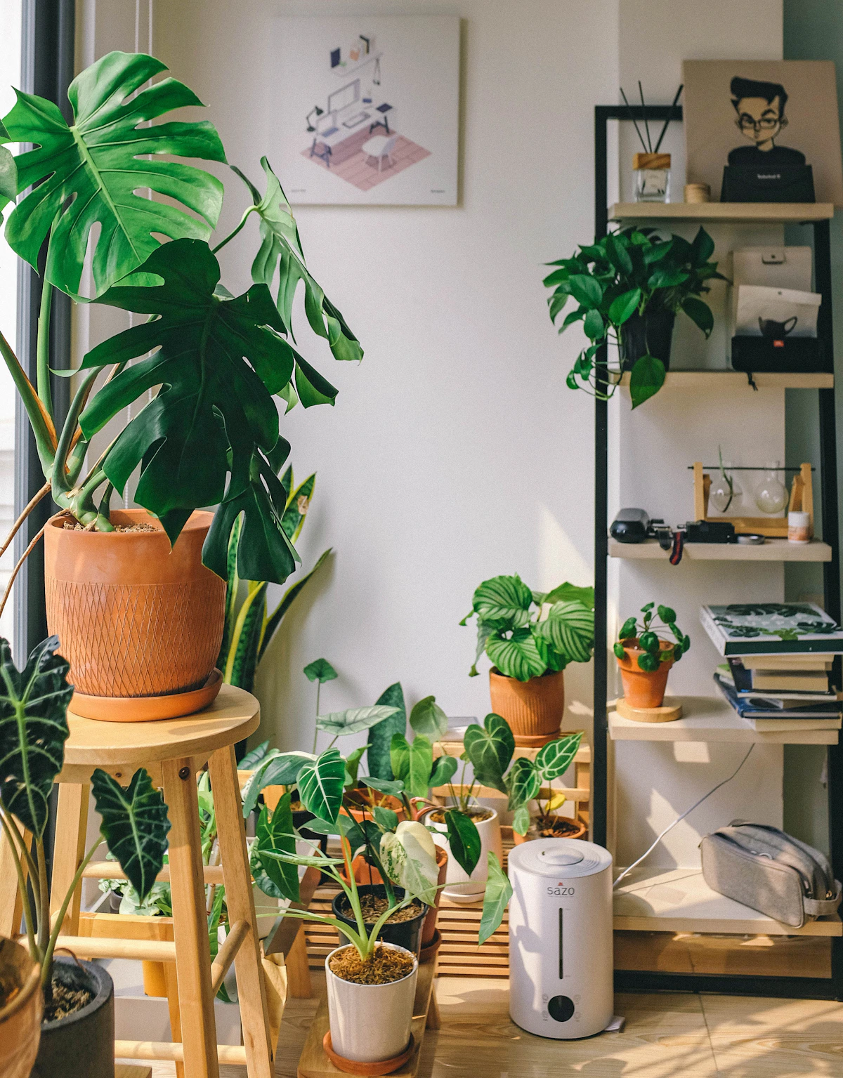A potted houseplant on a white table positioned next to a bright window, the optimal light position for most species