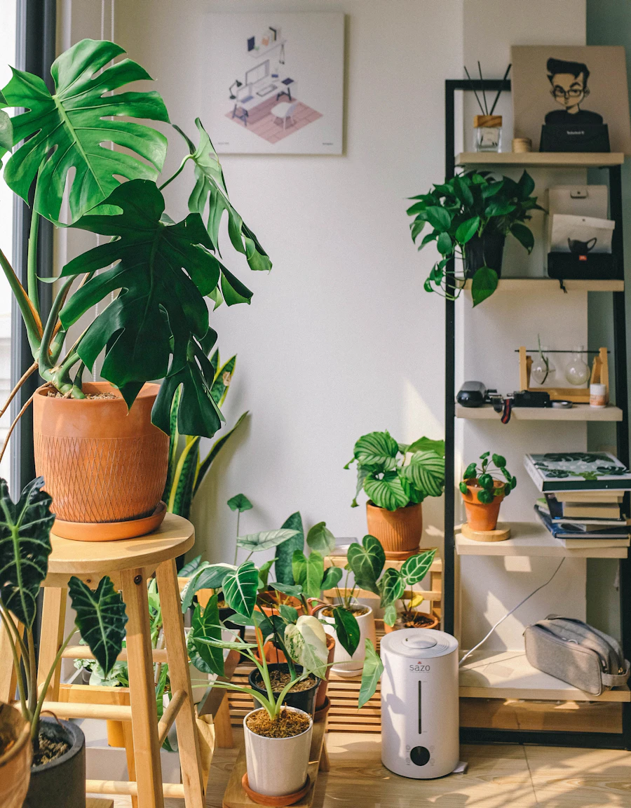 Plants on the shelf at Everyday Handbrew Coffee