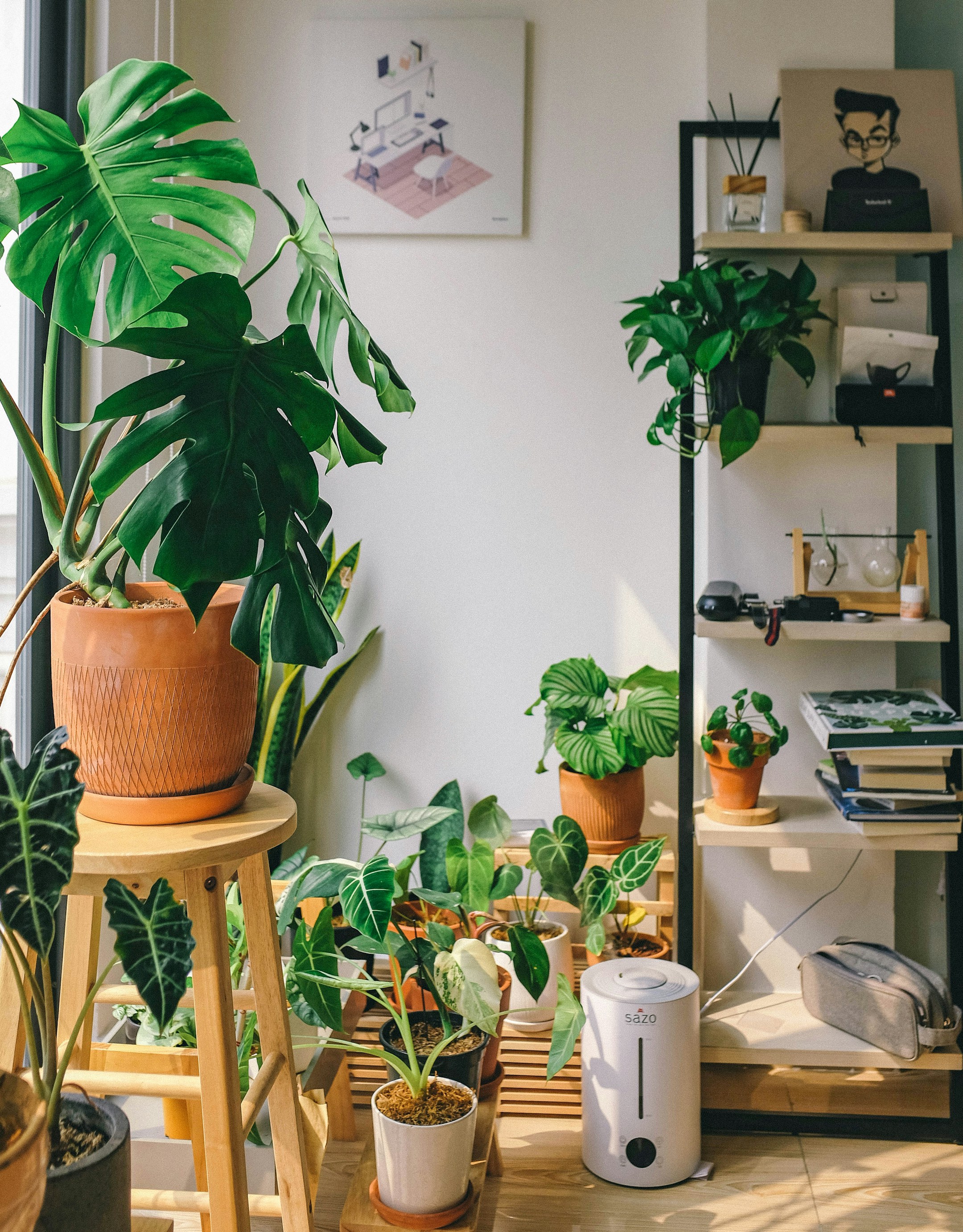 Choose the Right Mix for Your Indoor Plants