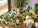 A collection of potted plants arranged on a wooden shelf in a sunlit room.