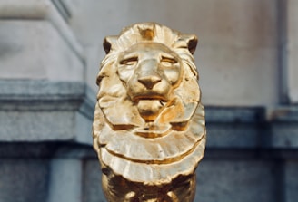 An educational workshop on the history of the Golden Lion.