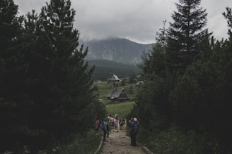 A scenic landscape showing hunters and tourists exploring a forested mountain area.