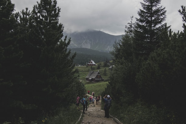 A scenic landscape showing hunters and tourists exploring a forested mountain area.