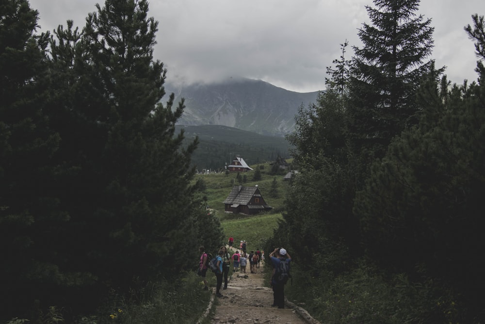 people walking on pathway between green trees during daytime