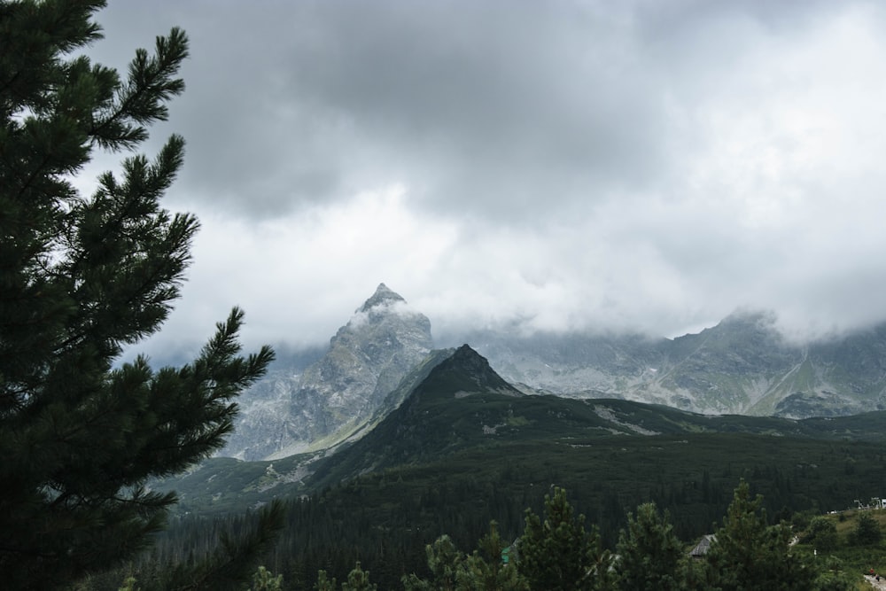 snow covered mountain under cloudy sky during daytime