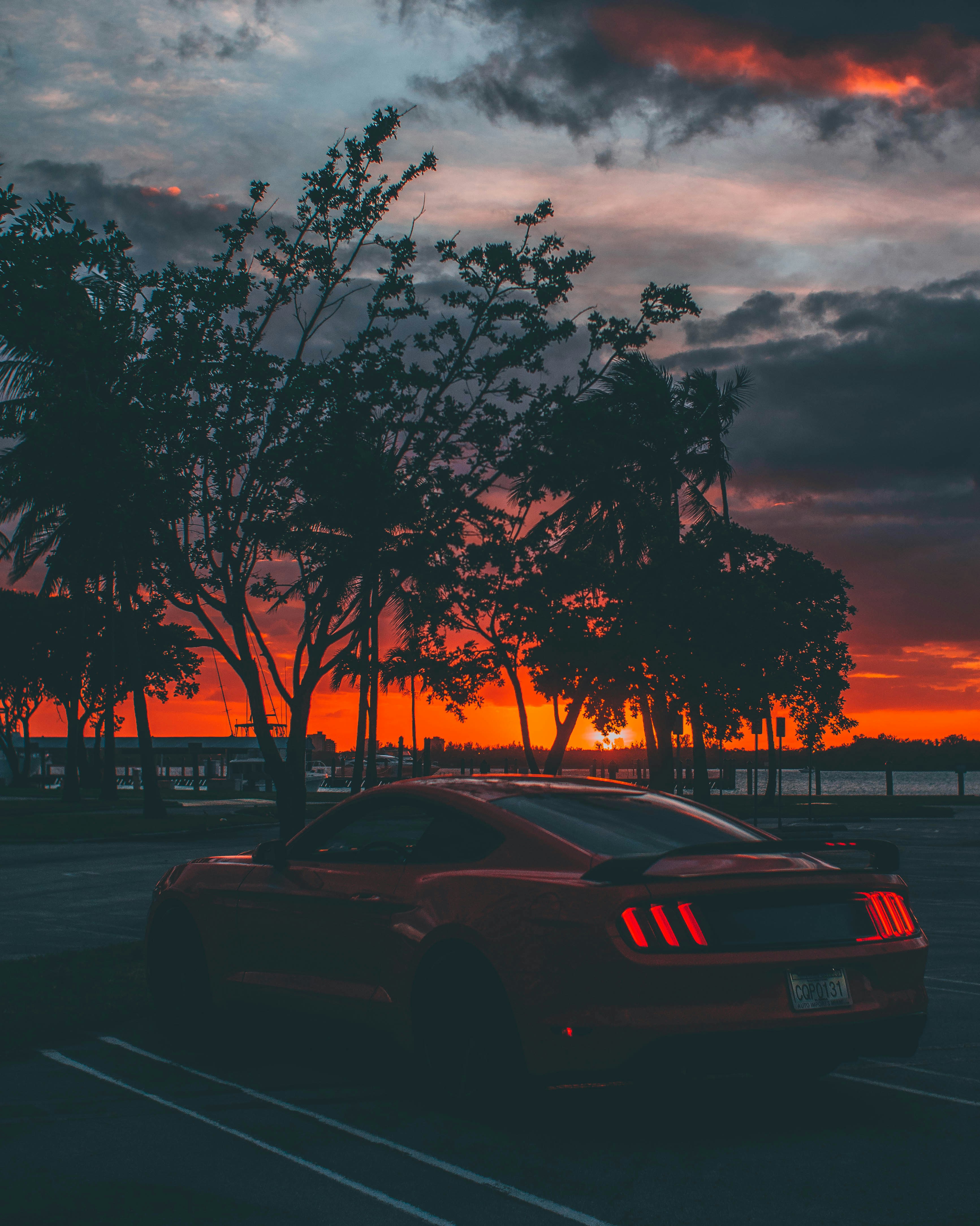 Photo by andredantan19