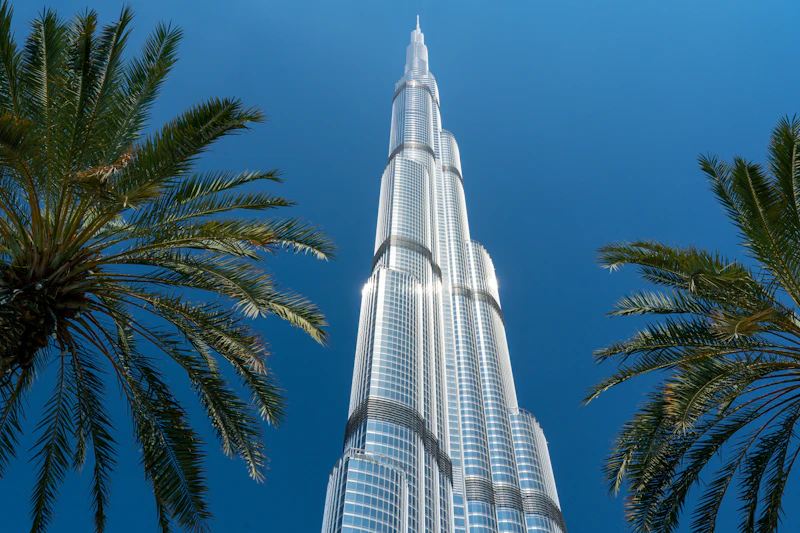 Burj Khalifa framed by palm trees