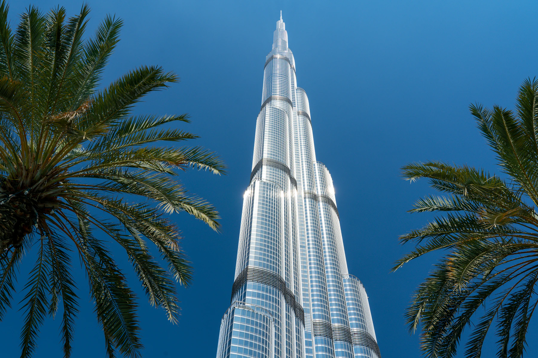 Dubai with kids: a parent's five-day plan