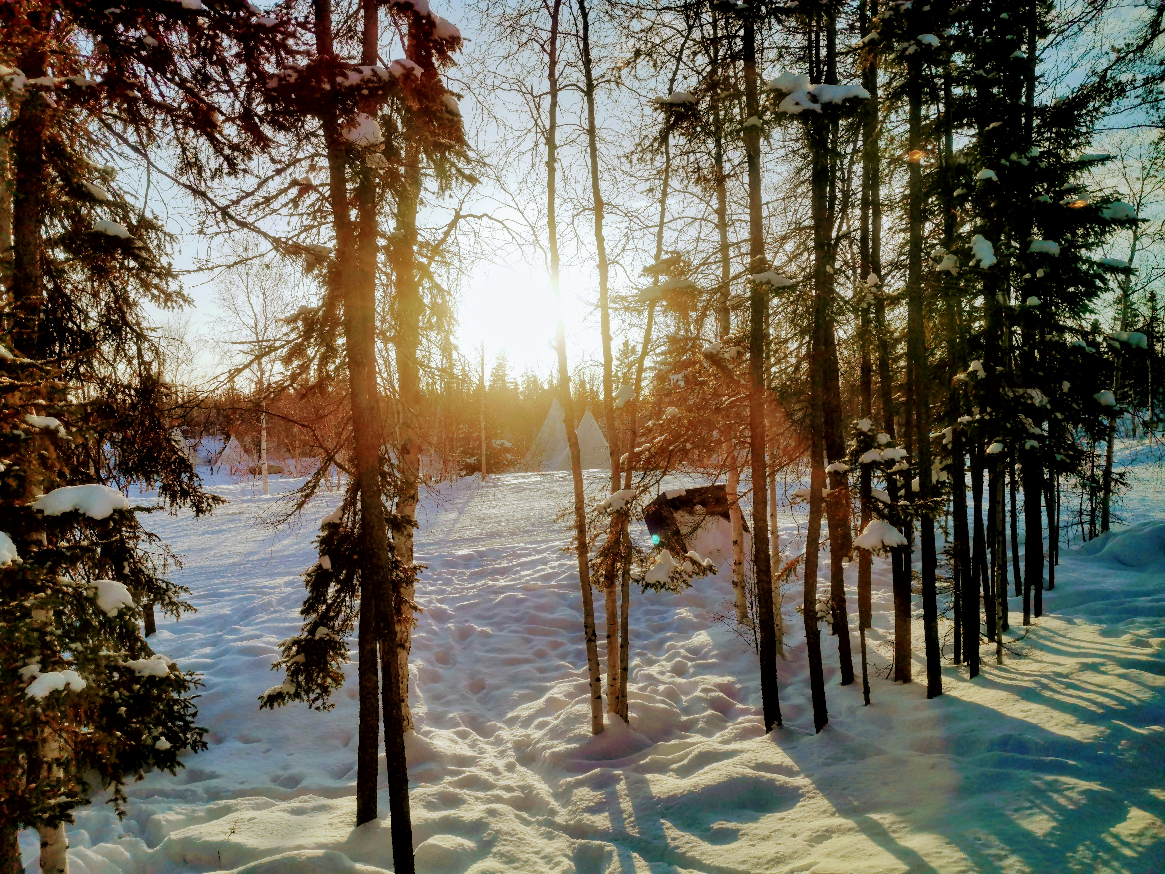 Photo by zhouyudesign