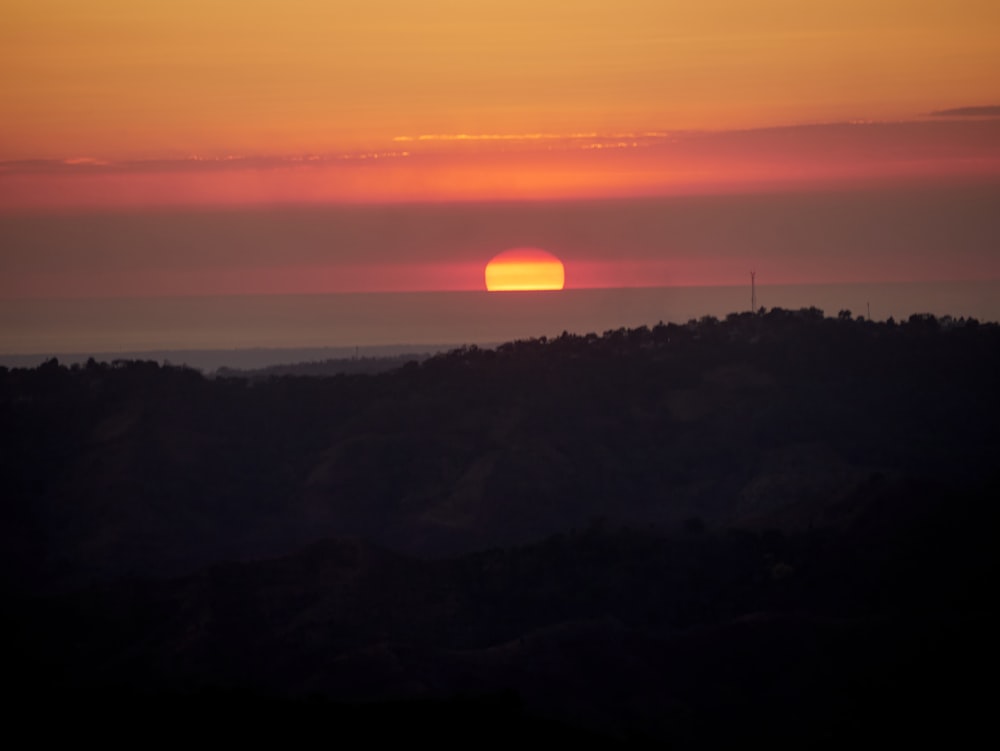 silhouette of trees during sunset