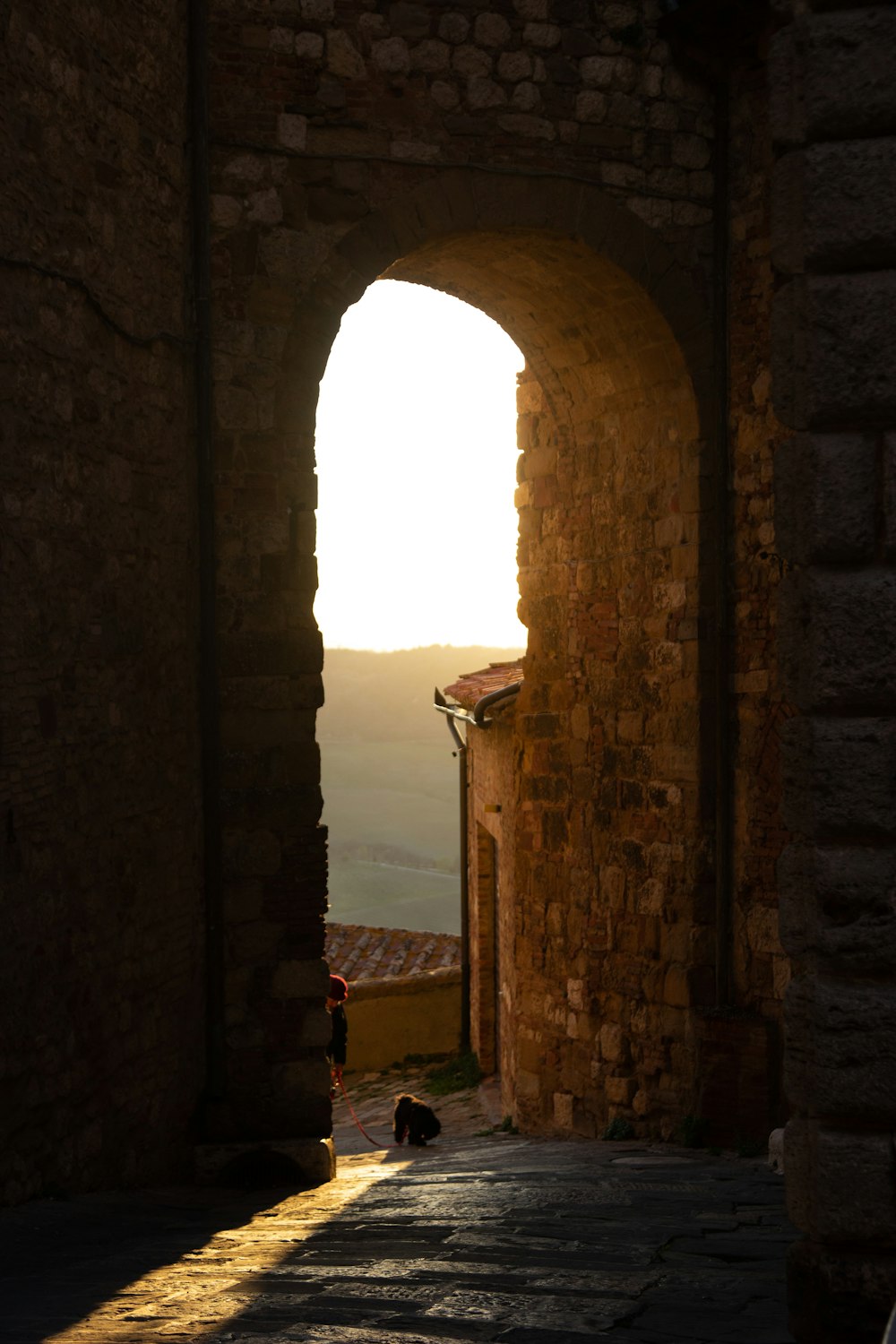 Arco in mattoni marroni durante il giorno