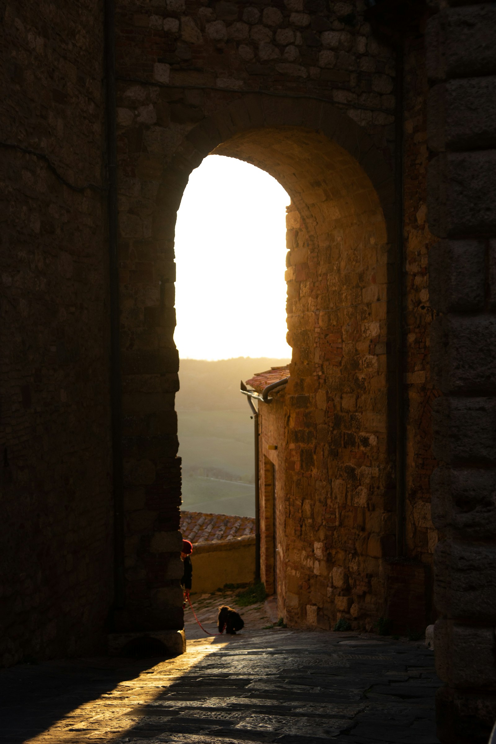 Sigma 17-70mm F2.8-4 DC Macro OS HSM sample photo. Brown brick arch during photography