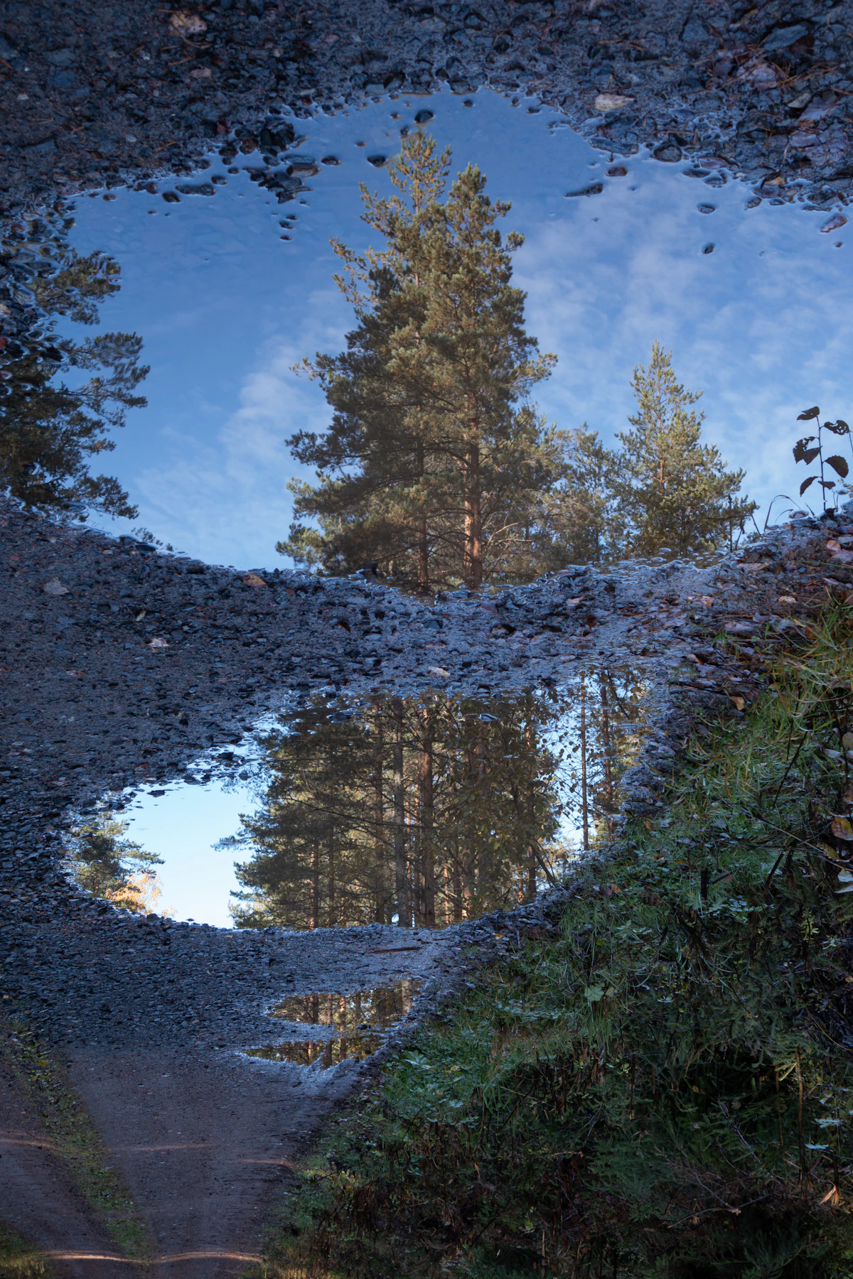 Pines and blue sky reflected in a puddle on a gravel forest road in Dalarna