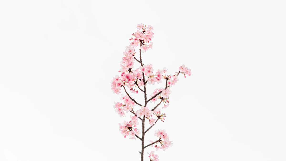 Cherry blossoms for kawaii brand website design