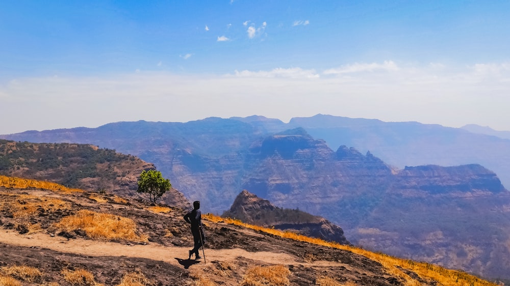 person standing on brown rock mountain during daytime