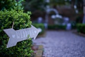 A rustic wooden sign pointing towards the ceremony area surrounded by greenery.