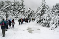 A group of people with backpacks and trekking poles are walking through a snowy forest path. Tall pine trees covered in snow line both sides of the path, creating a wintery landscape. The scene is set on an overcast day, with grey clouds adding to the wintry atmosphere.