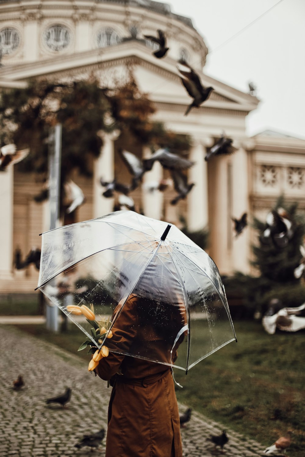 日中に傘をさして街を歩く人