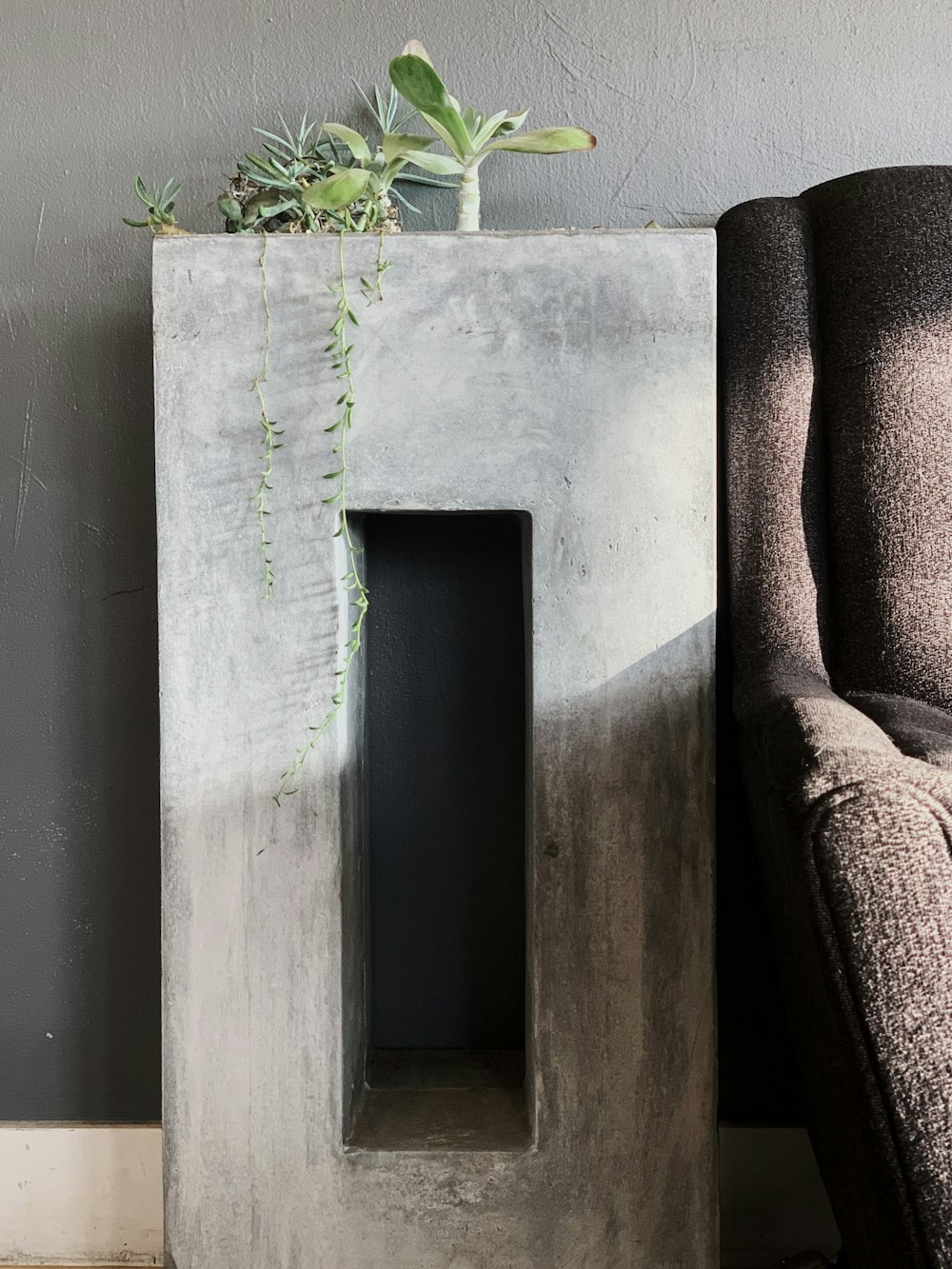 green plant on white concrete wall