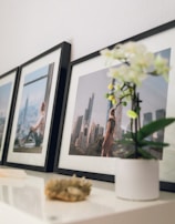 white flowers on white vase beside black wooden framed painting