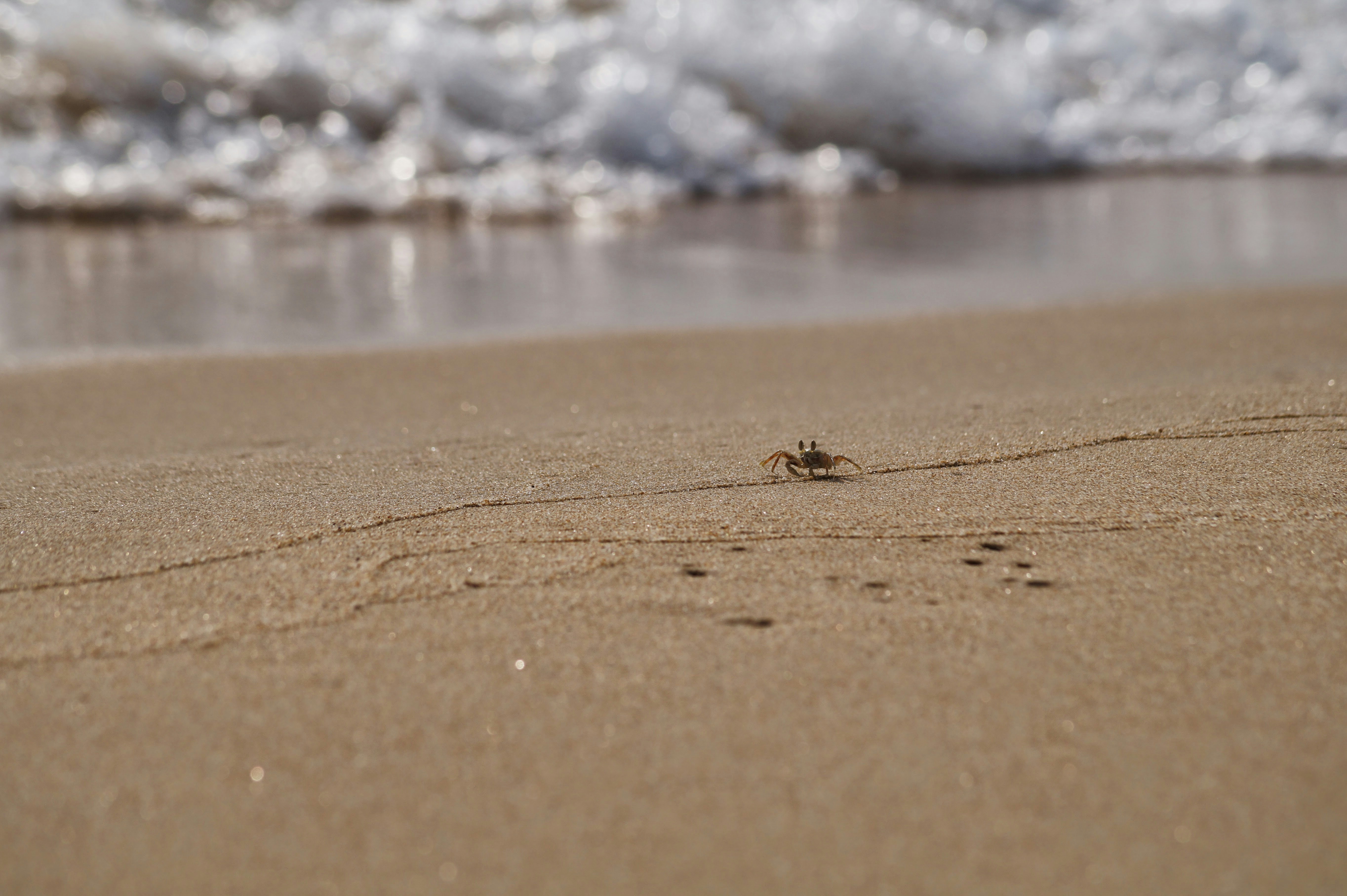 Photo by millerthachiller