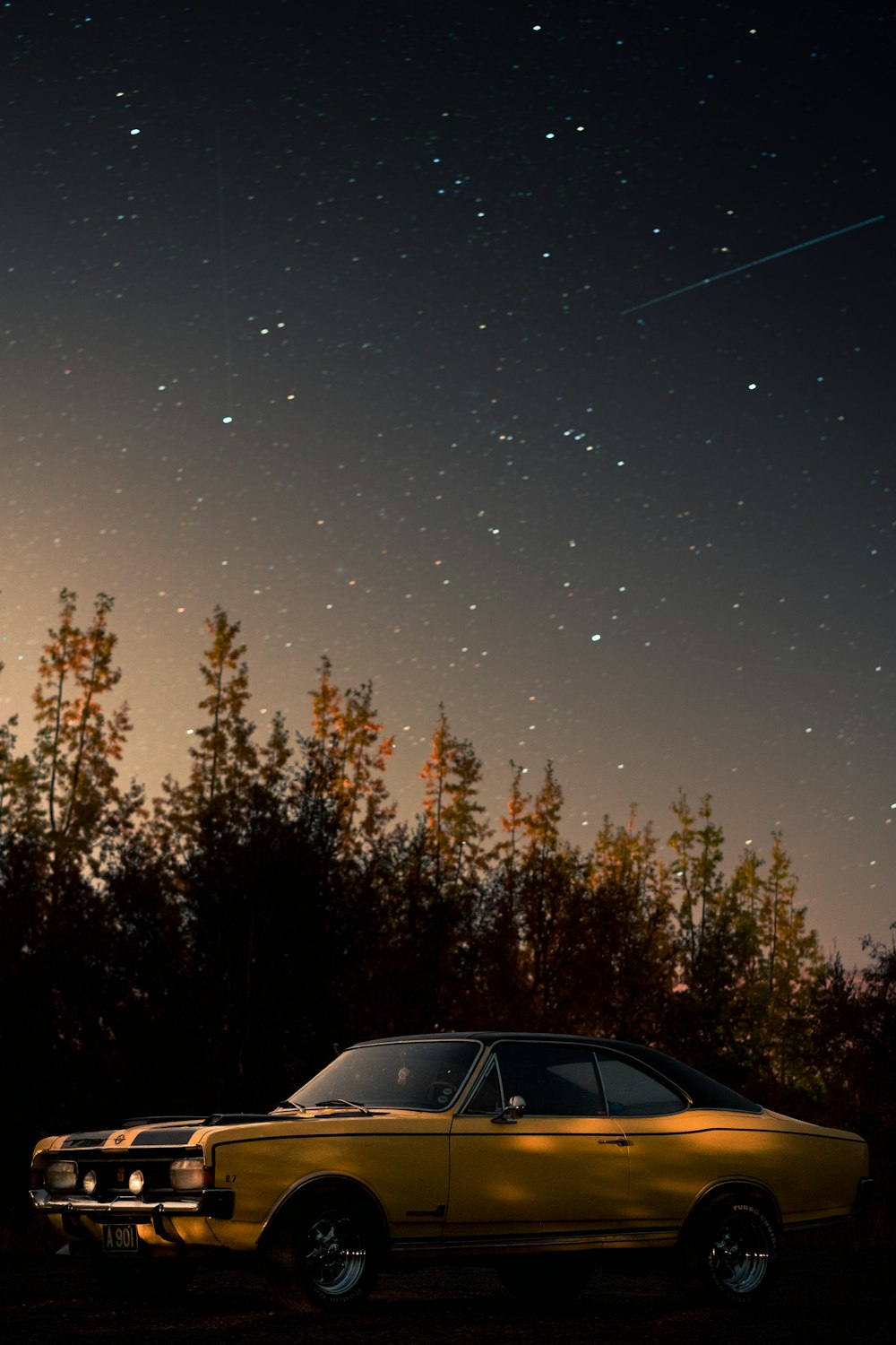 white car near green trees during night time