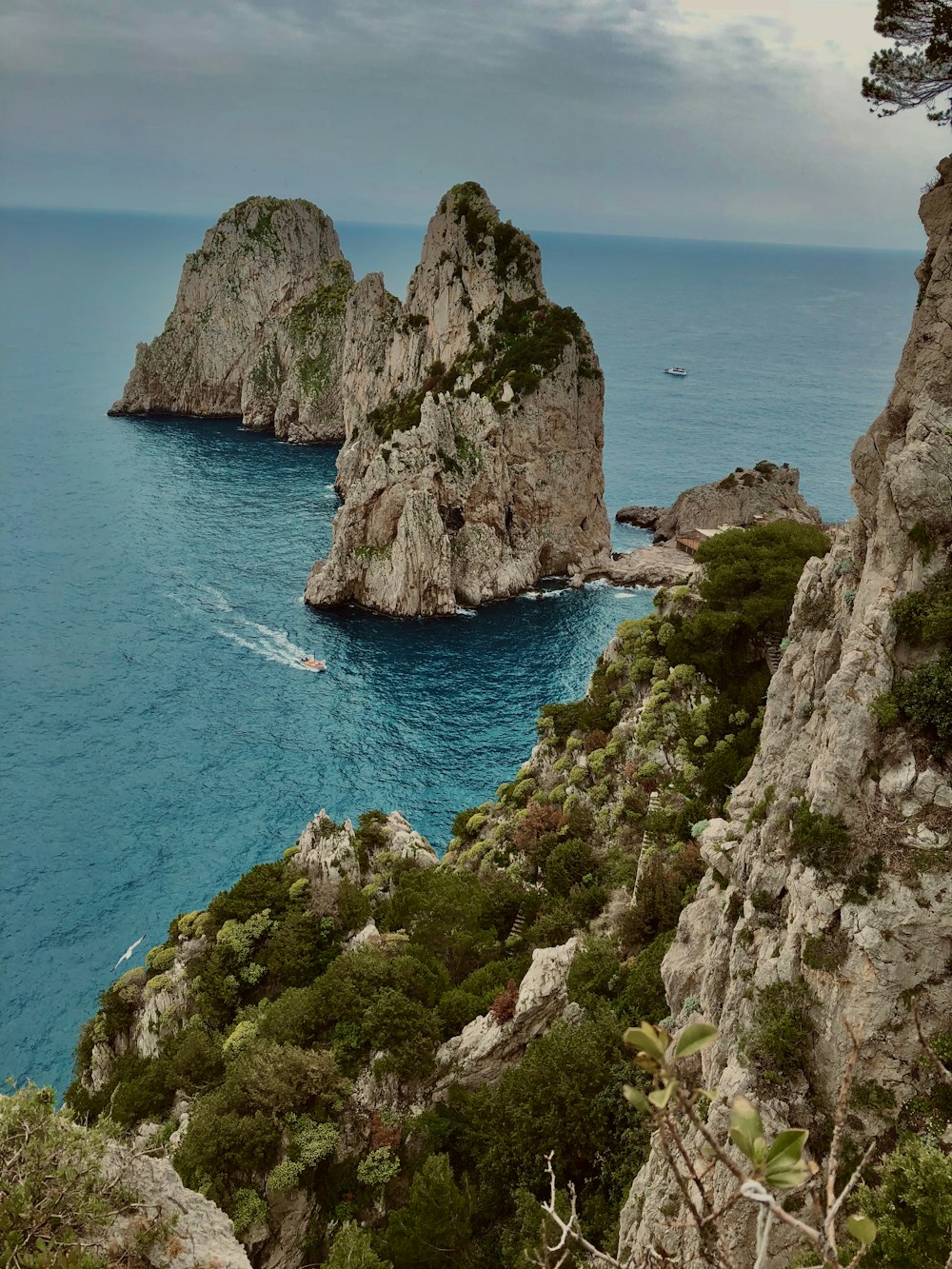 昼間の青い海のそばの緑と茶色の岩層