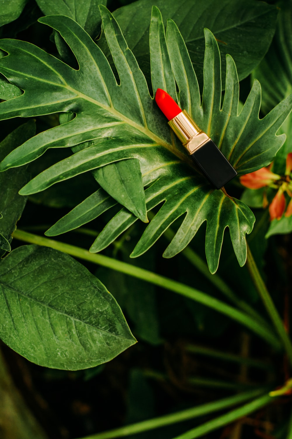 red lipstick on green leaves