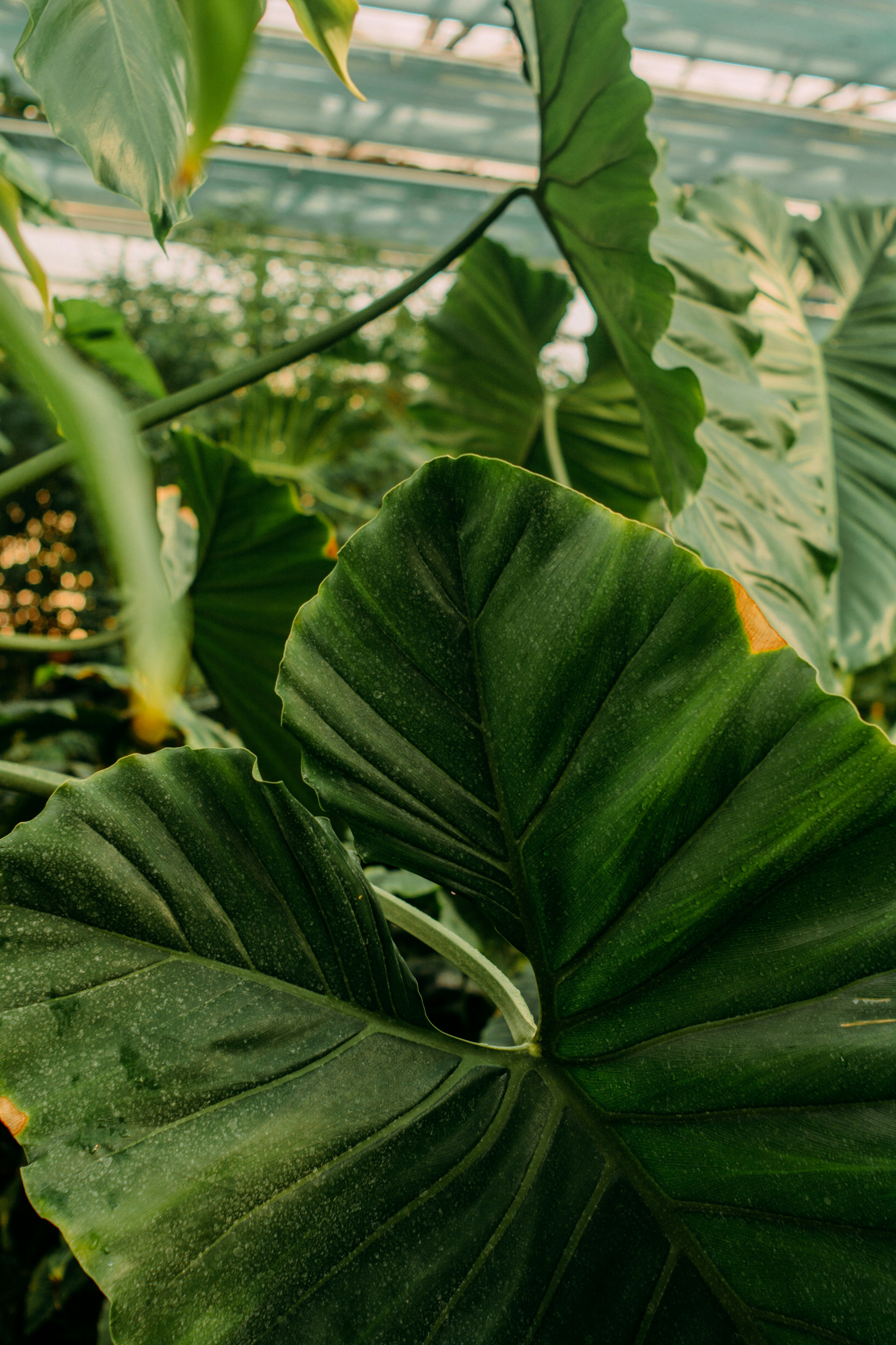 Photo by eugenivy_now