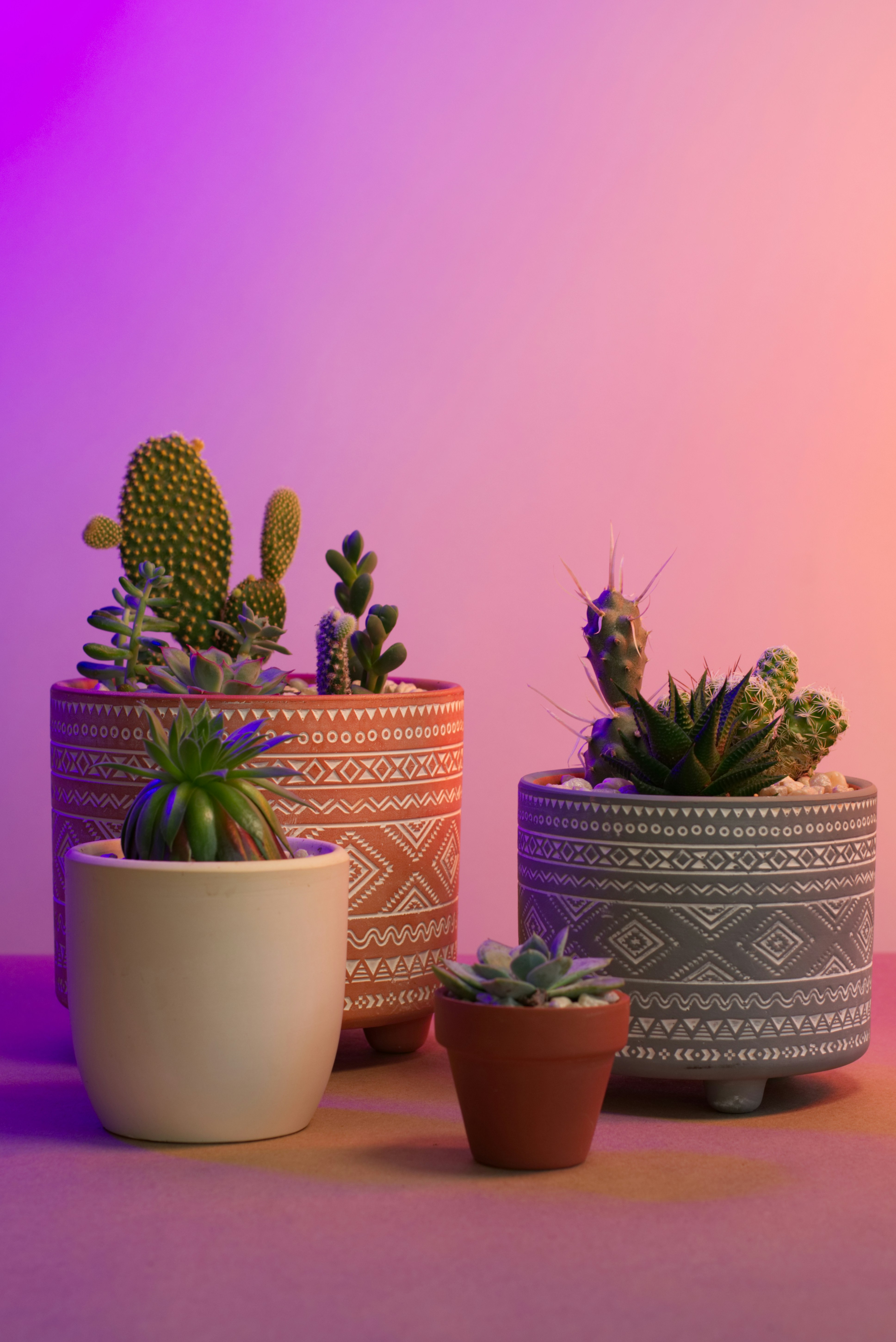 Photo by scott872004