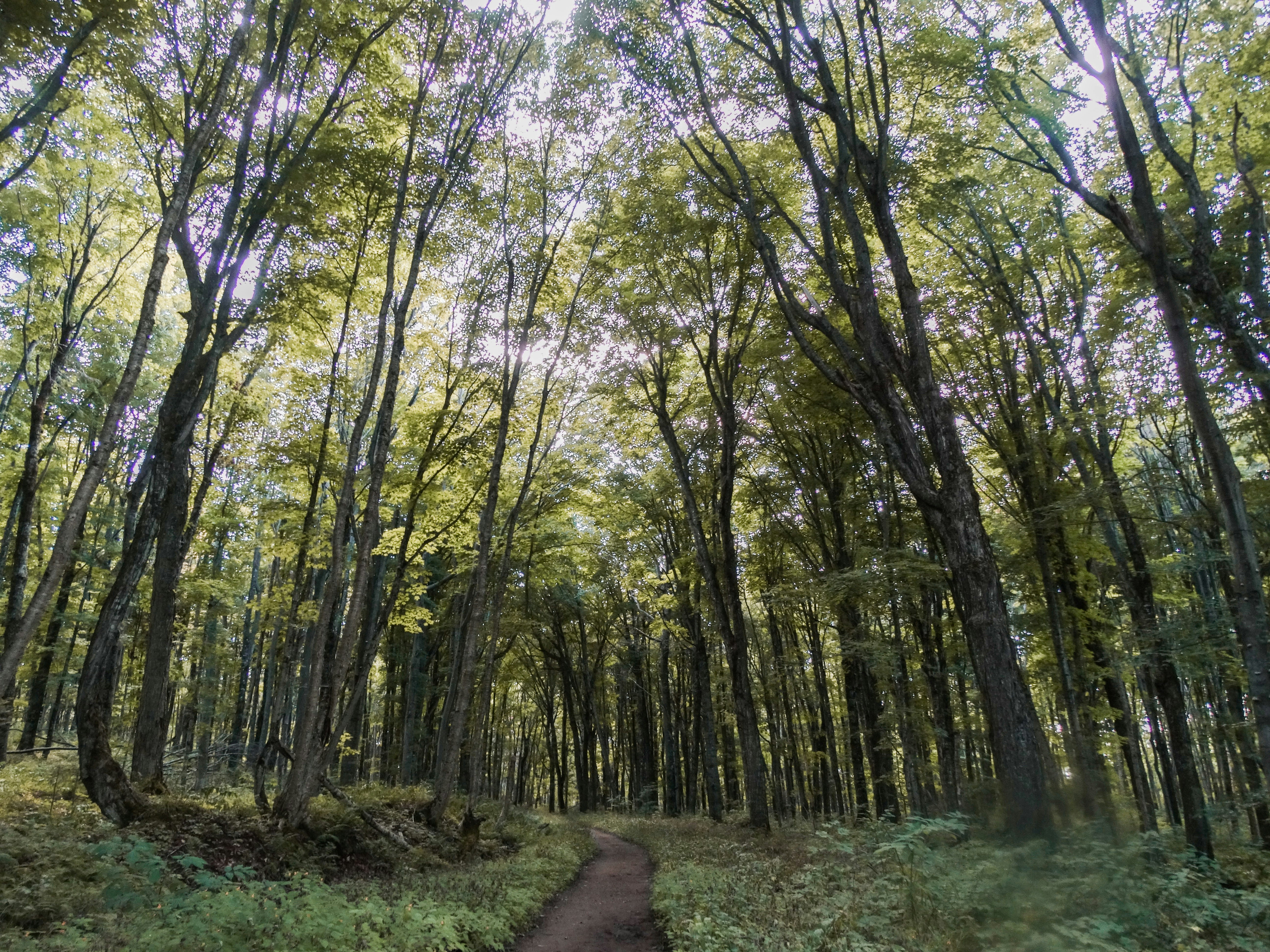 Photo by joyfulcaptures