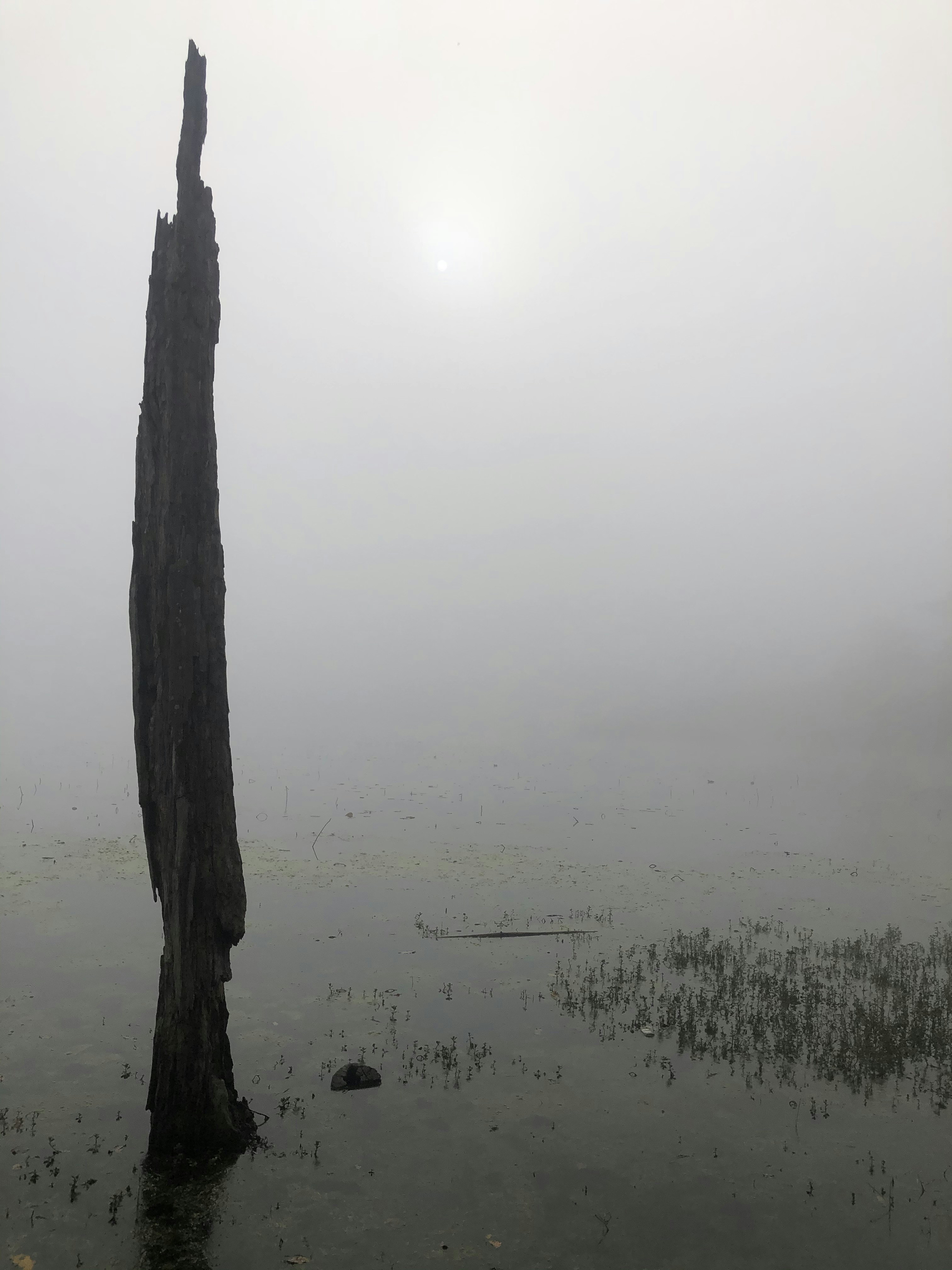 Photo by aalokatreya