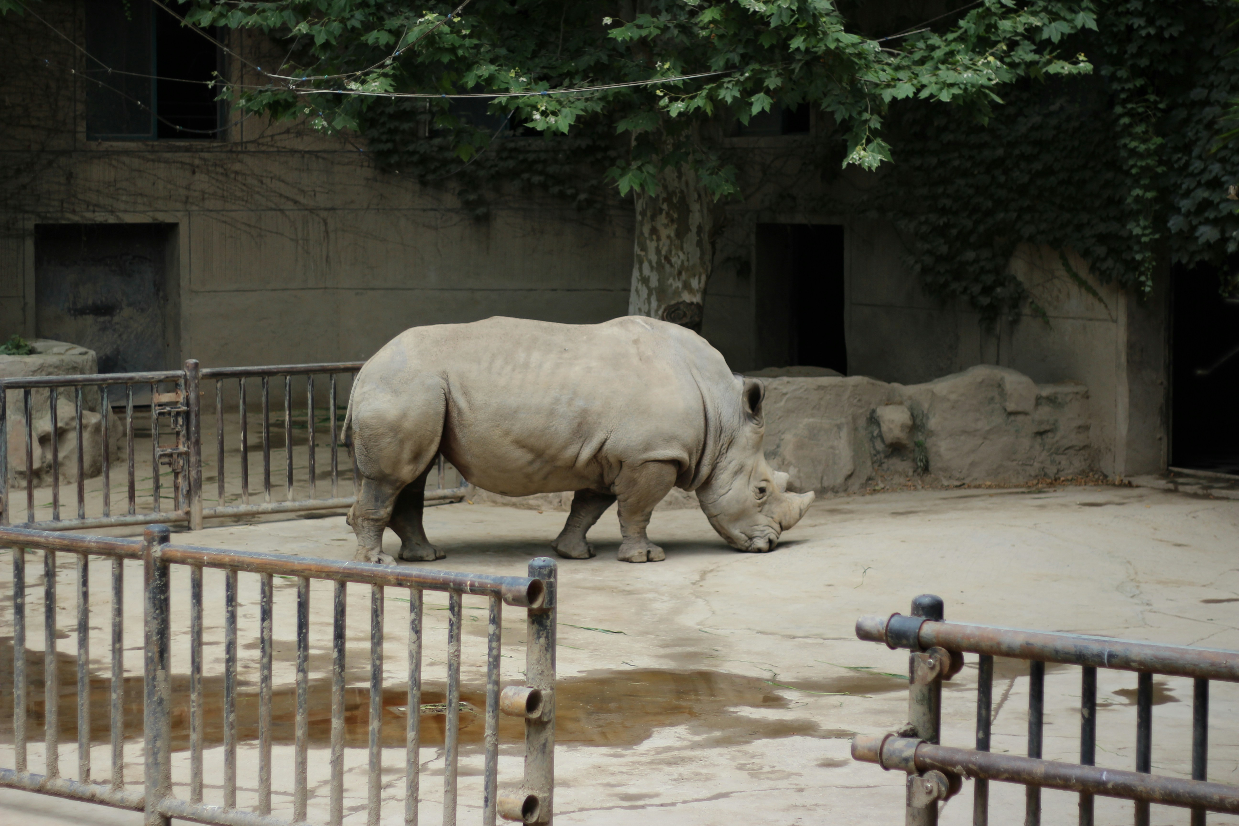 Should I feel bad about going to the zoo? Should I keep going to them?