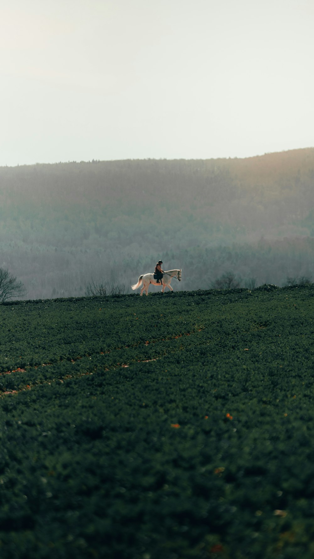 woman in white dress walking on green grass field during daytime