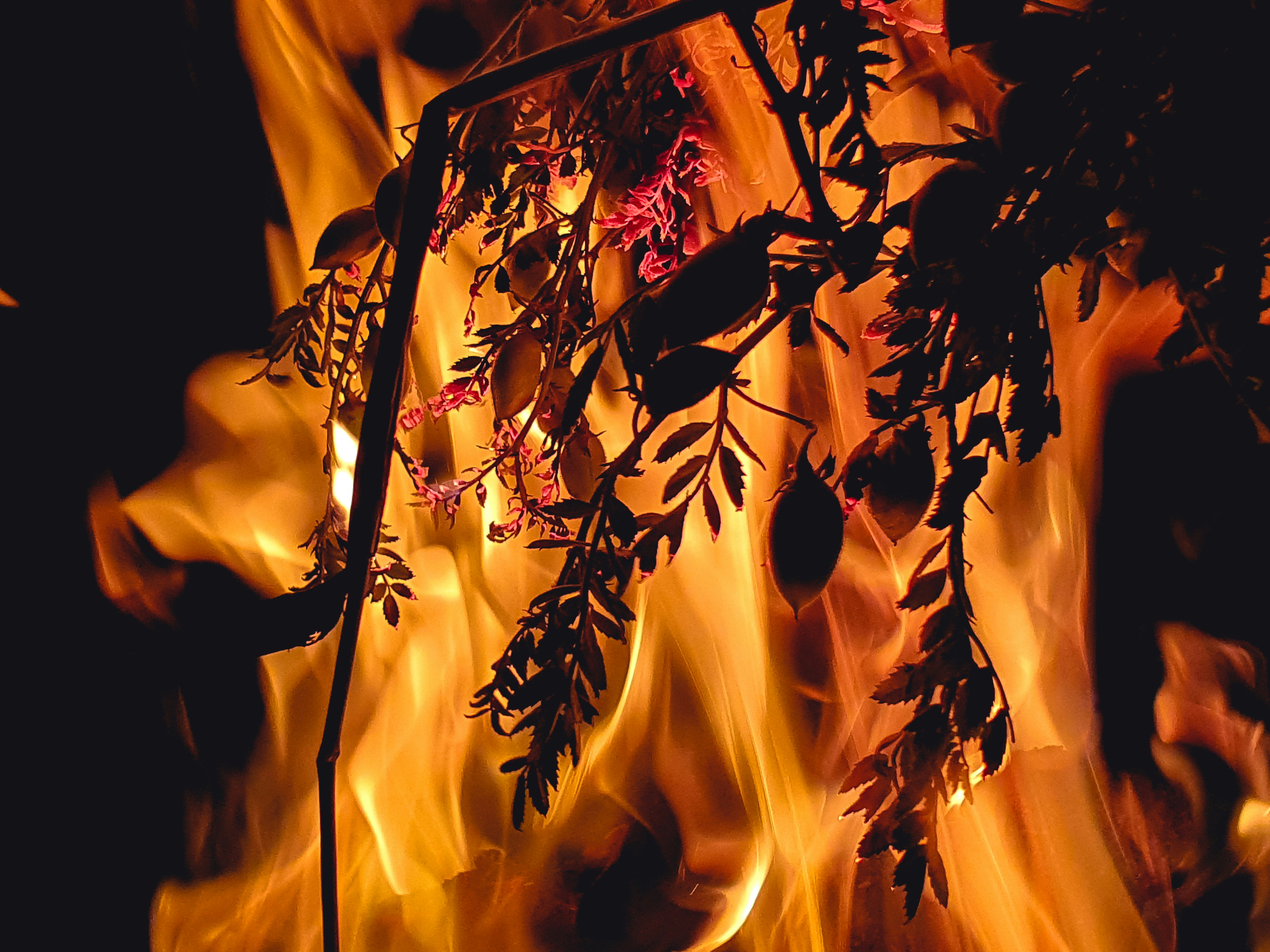 Mastering Outdoor Fire Safety: Essential Tips for Backyard and Wildland Protection