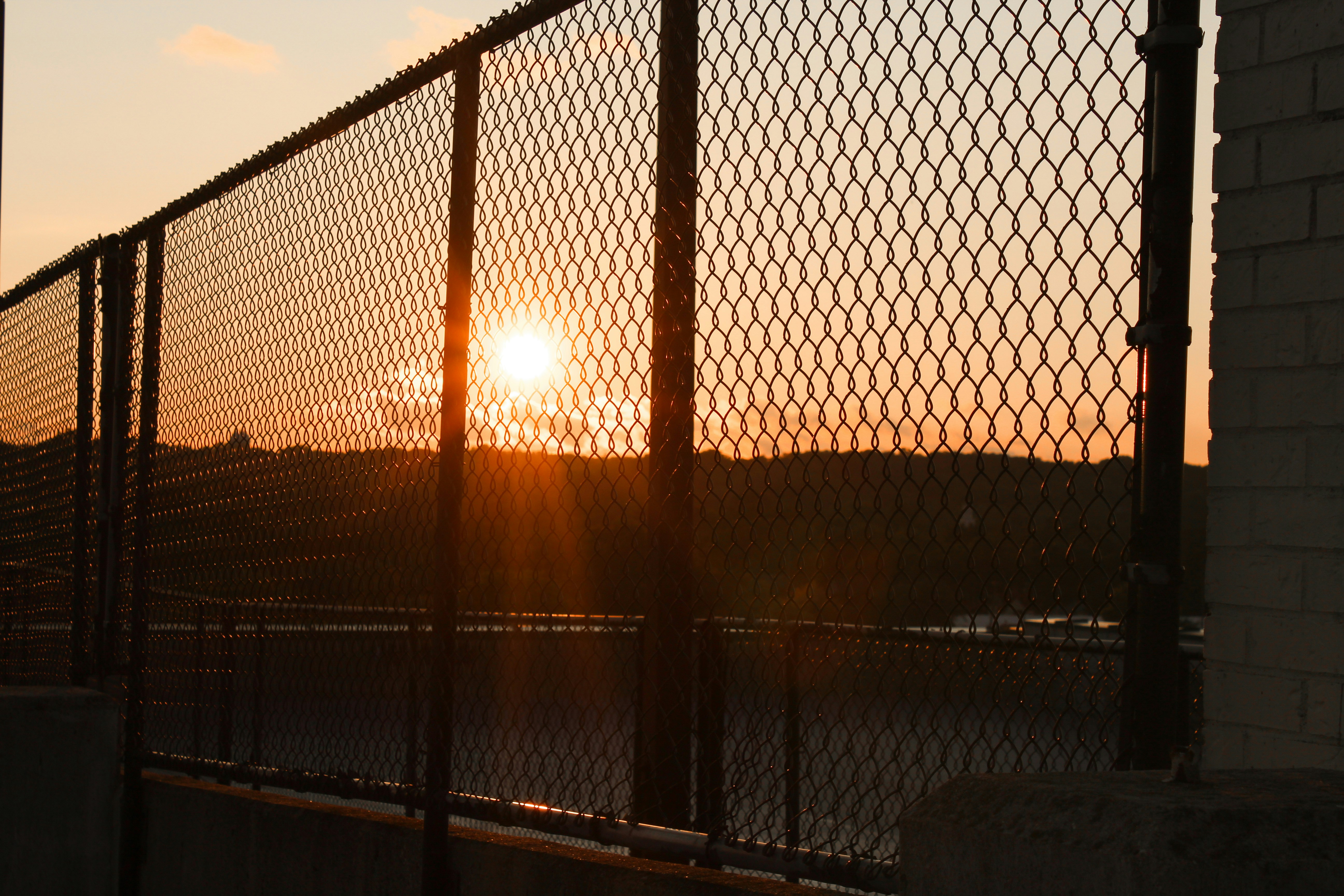 Photo by joyfulcaptures