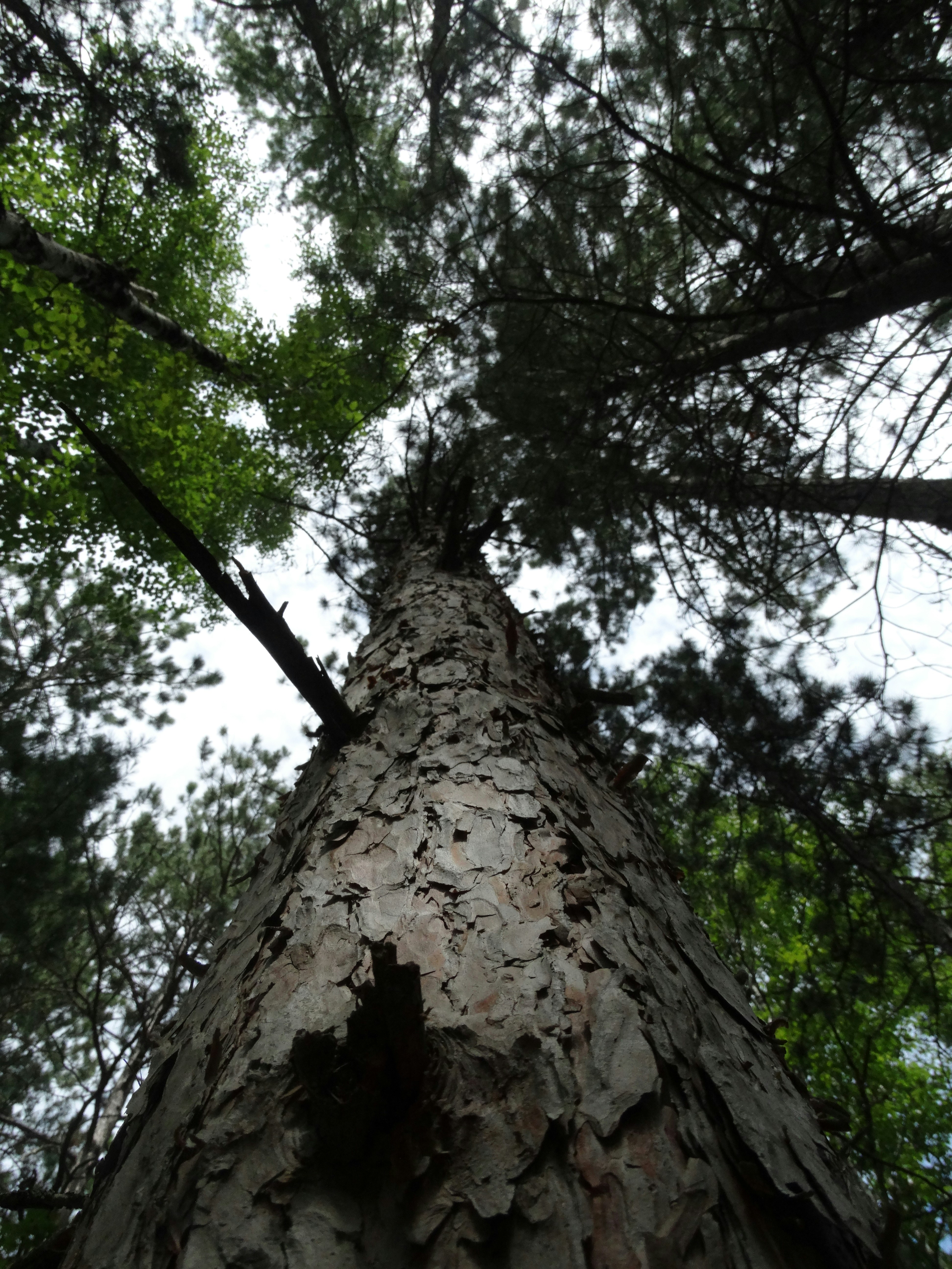 Photo by joyfulcaptures