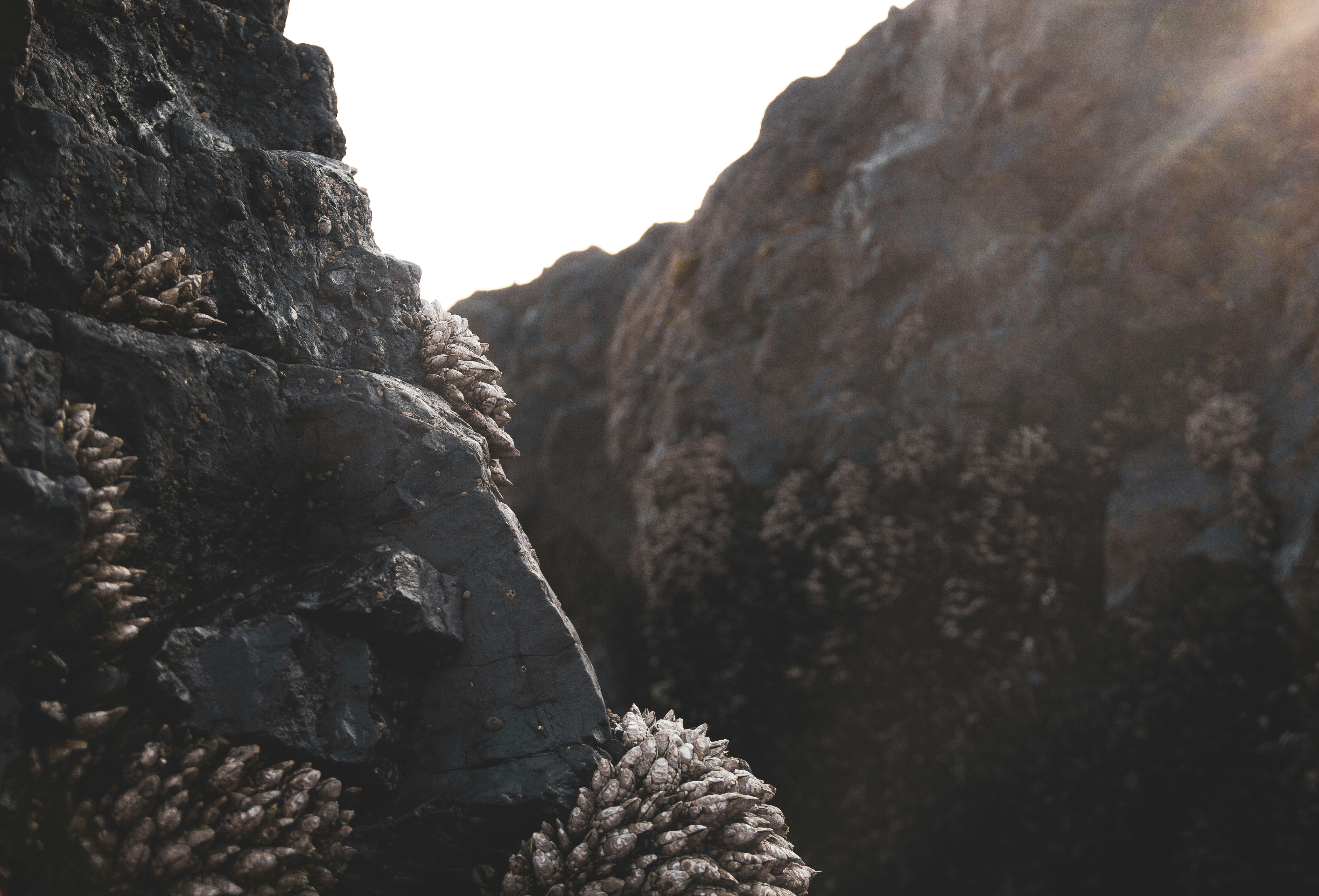 Photo by andreas_haslinger