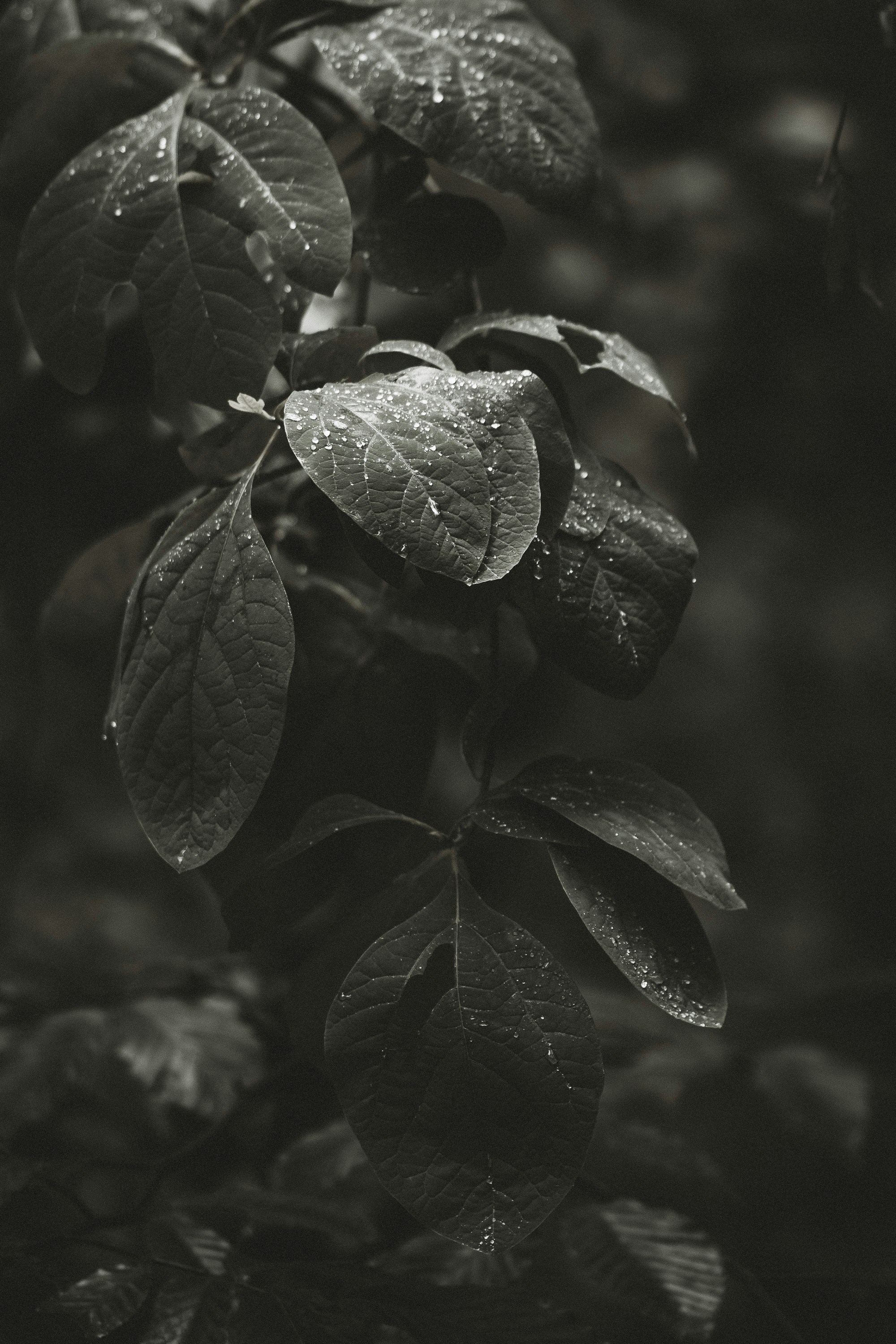 Photo by eventidedesignco