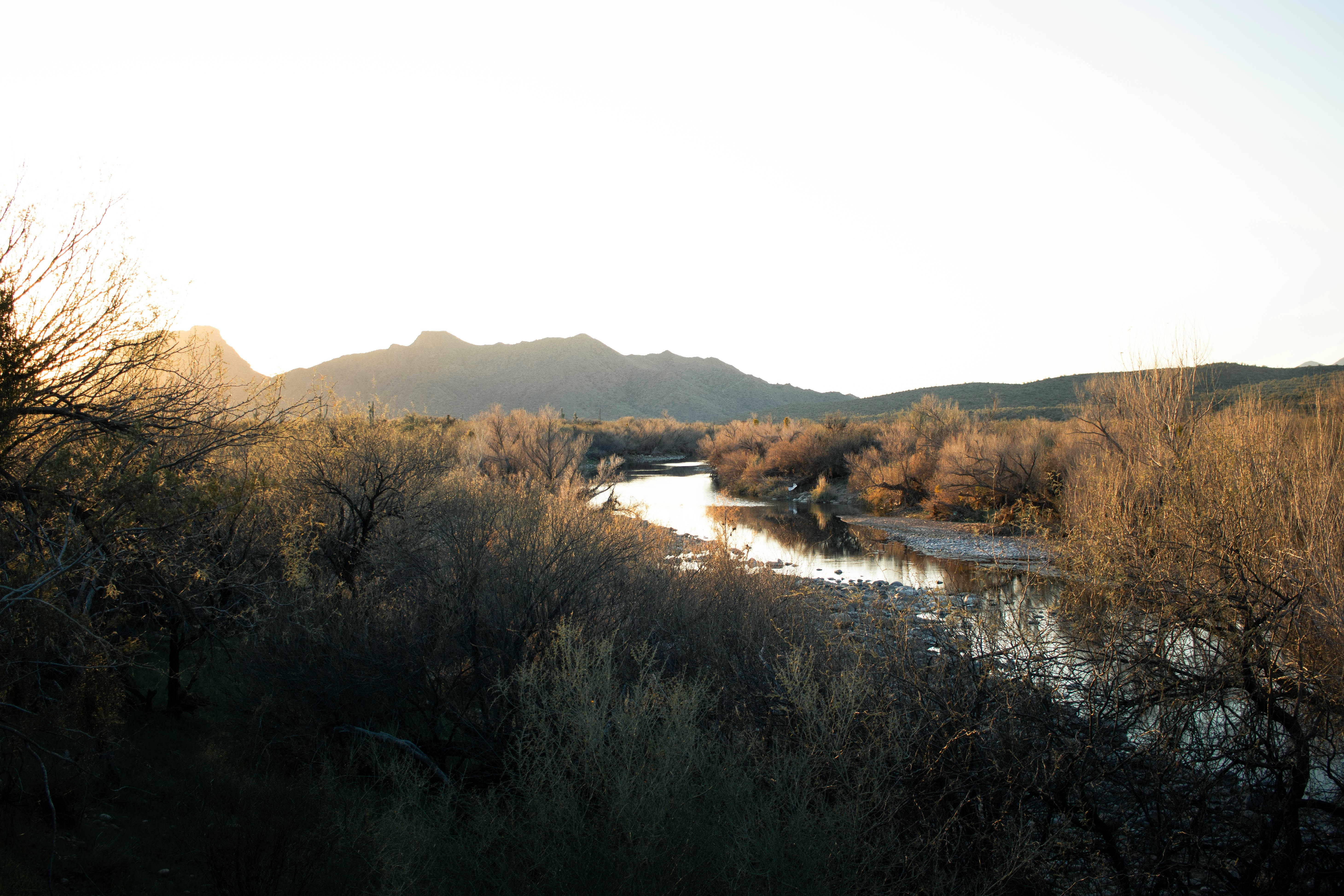 Photo by harrisonhargrave