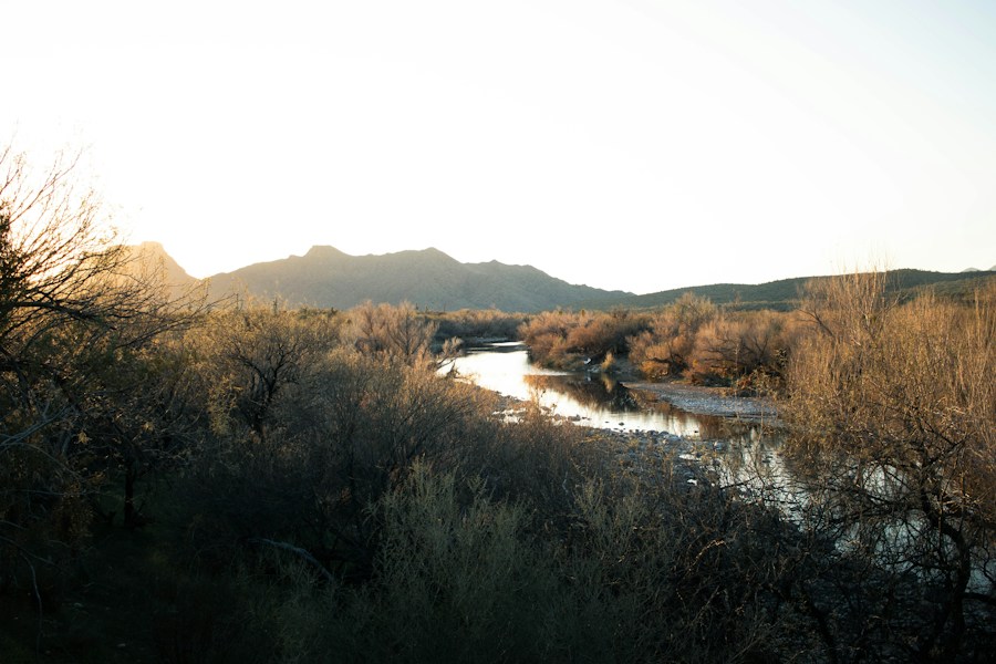 Gila River: Arizona's Desert Lifeline
