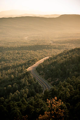 Golden hour light bathes a winding mountain road framed by lush greenery.