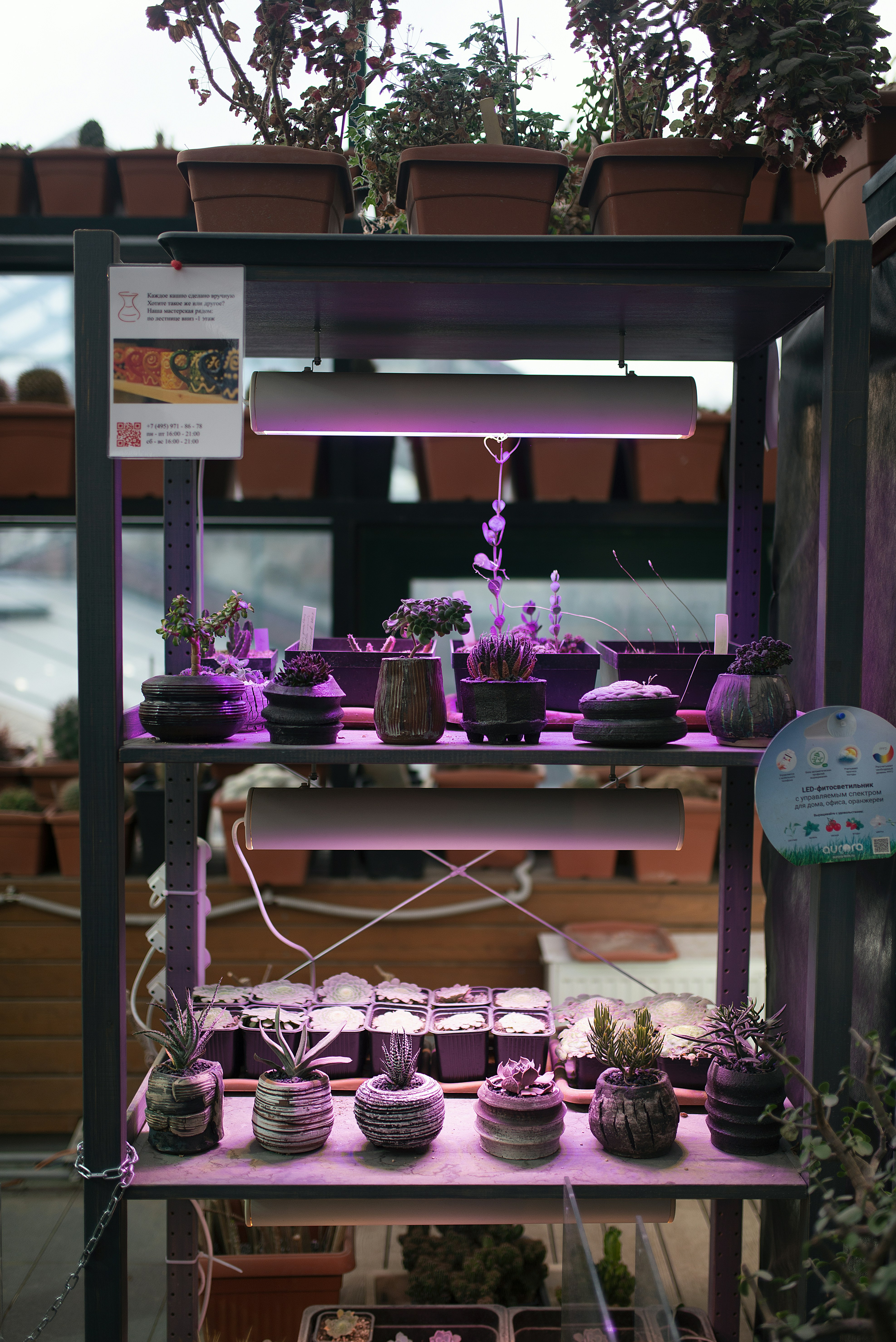 Automating QA: A Comprehensive Guide to Efficient Software Testing